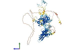 Protein Structure (PS) image for NFKB Repressing Factor (NKRF) (AA 1-690) protein (His tag) (ABIN7554733)