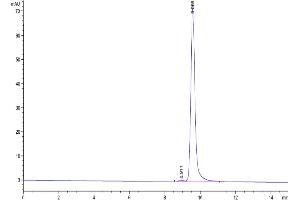 The purity of Human NGAL is greater than 95 % as determined by SEC-HPLC.