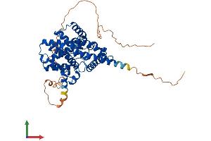 Protein Structure (PS) image for phosphodiesterase 7B (PDE7B) (AA 1-446) protein (His tag) (ABIN7561757)