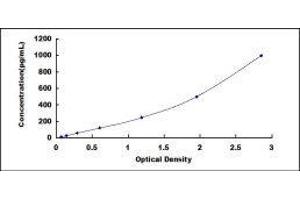 ELISA image for Laminin, gamma 2 (LAMC2) ELISA Kit (ABIN6730962)