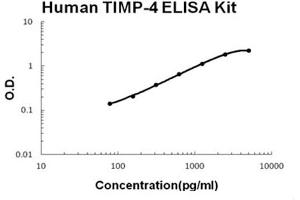 Human TIMP-4 Accusignal ELISA Kit Human TIMP-4 AccuSignal ELISA Kit standard curve. (TIMP4 ELISA 试剂盒)