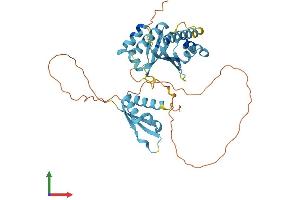 Protein Structure (PS) image for Poly(rC) Binding Protein 2 (PCBP2) (AA 1-362) protein (His tag) (ABIN7557751)