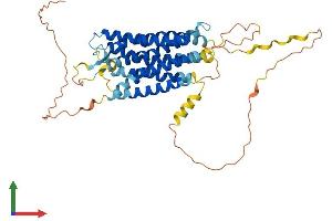 Protein Structure (PS) image for G Protein-Coupled Receptor 150 (GPR150) (AA 1-427) protein (His tag) (ABIN7558730)