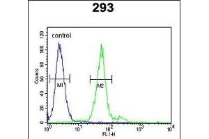 TPSAB1 Antibody (Center) (ABIN651632 and ABIN2850540) flow cytometric analysis of 293 cells (right histogram) compared to a negative control cell (left histogram). (TPSAB1 抗体  (AA 61-87))