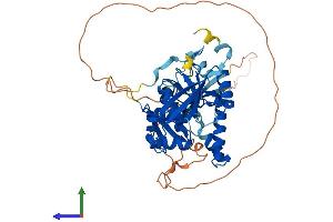 Protein Structure (PS) image for tRNA-splicing Endonuclease Subunit SEN2 (TSEN2) (AA 1-465) protein (His tag) (ABIN7555451)