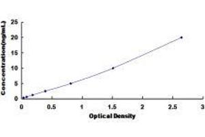 ELISA image for Collagen, Type V, alpha 2 (COL5A2) ELISA Kit (ABIN425365)