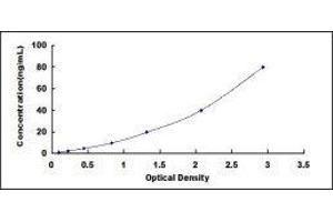 Typical standard curve (Decorin ELISA 试剂盒)