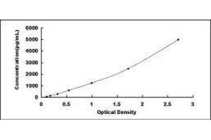 Caveolin 1, Caveolae Protein, 22kDa (CAV1) ELISA Kit