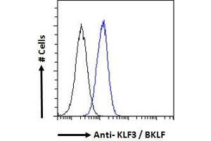 Flow Cytometry (FACS) image for anti-Kruppel-Like Factor 3 (Basic) (KLF3) (N-Term) antibody (ABIN184727)