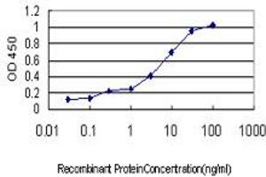 Detection limit for recombinant GST tagged PLK4 is approximately 0. (PLK4 抗体  (AA 1-110))