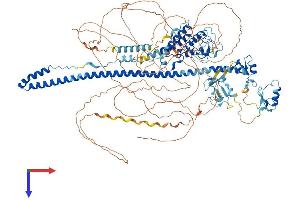 TRIM33 Protein (AA 1-1142) (His tag)