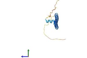Protein Structure (PS) image for CAMP Responsive Element Binding Protein-Like 2 (CREBL2) (AA 1-123) protein (His tag) (ABIN7557020)