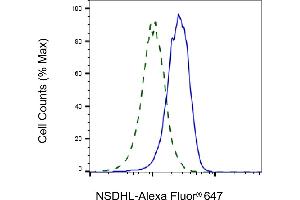 Validation of NSDHL knockdown using flow cytometry. (Recombinant NSDHL 抗体)
