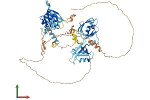 AlphaFold protein structure predicition of Mouse Recombinant Apba3 Protein, UniprotID O88888