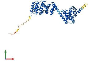 AlphaFold protein structure predicition of Mouse Recombinant Bzw1 Protein, UniprotID Q9CQC6