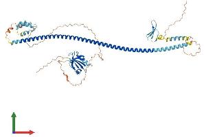 Protein Structure (PS) image for Syntaxin Binding Protein 4 (STXBP4) (AA 1-557) protein (His tag) (ABIN7556308)