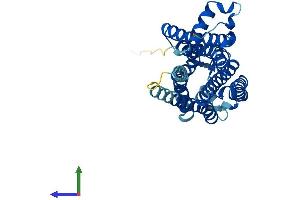 Protein Structure (PS) image for Trace Amine Associated Receptor 8 (TAAR8) (AA 1-342) protein (His tag) (ABIN7544155)