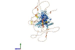 AlphaFold protein structure predicition of Human Recombinant DDHD1 Protein, UniprotID Q8NEL9