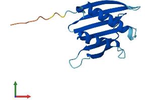 Protein Structure (PS) image for Proteasome (Prosome, Macropain) Assembly Chaperone 4 (PSMG4) (AA 1-123) protein (His tag) (ABIN7551106)