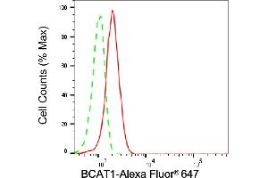 Flow cytometric analysis of BCAT1 expression in C2C12 cells using BCAT1 antibody (ABIN7797781), 1:1,000). (BCAT1 抗体)