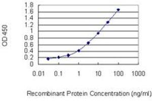 Detection limit for recombinant GST tagged PLD1 is 0. (PLD1 抗体  (AA 965-1074))
