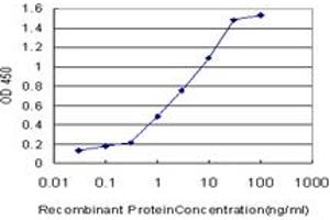 Detection limit for recombinant GST tagged CRYGD is approximately 0. (CRYGD 抗体  (AA 75-174))
