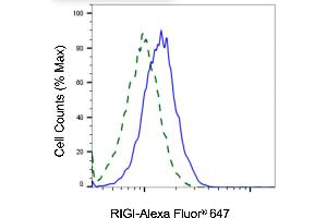 Validation of RIGI knockdown using flow cytometry. (Recombinant RNA Sensor RIG-I 抗体)