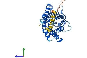 Protein Structure (PS) image for Aquaporin 2 (Collecting Duct) (AQP2) (AA 1-271) protein (His tag) (ABIN7556474)