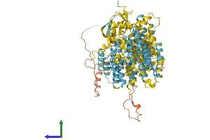 Protein Structure (PS) image for Proteasome (Prosome, Macropain) 26S Subunit, Non-ATPase, 2 (PSMD2) (AA 1-908) protein (His tag) (ABIN7564746)