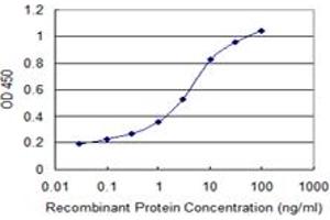 Detection limit for recombinant GST tagged MYOD1 is 0. (MYOD1 抗体  (AA 211-320))