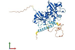 Protein Structure (PS) image for Phosphate Cytidylyltransferase 2, Ethanolamine (PCYT2) (AA 1-404) protein (His tag) (ABIN7560217)