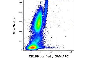 Flow cytometry surface staining pattern of human peripheral whole blood stained using anti-human CD199 (C9Mab-1) purified antibody (concentration in sample 0. (CCR9 抗体)