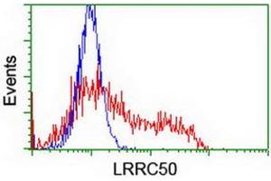 HEK293T cells transfected with either RC205452 overexpress plasmid (Red) or empty vector control plasmid (Blue) were immunostained by anti-LRRC50 antibody (ABIN2455718), and then analyzed by flow cytometry. (LRRC50 抗体)