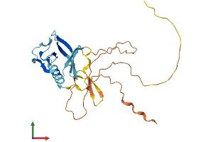Protein Structure (PS) image for Pleckstrin Homology Domain Containing, Family B (Evectins) Member 1 (PLEKHB1) (AA 1-243) protein (His tag) (ABIN7561787)