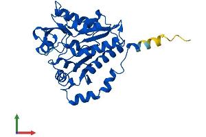 AlphaFold protein structure predicition of Mouse Recombinant Gnpda1 Protein, UniprotID O88958 (GNPDA1 Protein (AA 1-289) (His tag))
