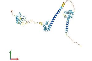 AlphaFold protein structure predicition of Human Recombinant DFFA Protein, UniprotID O00273