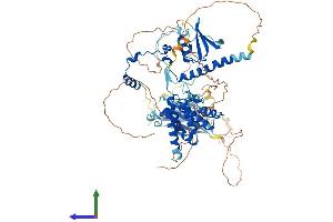 Protein Structure (PS) image for SUZ12 Polycomb Repressive Complex 2 Subunit (SUZ12) (AA 1-739) protein (His tag) (ABIN7555668)