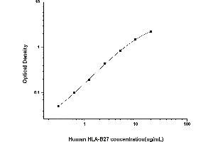Typical standard curve (Leukocyte Antigen B27 ELISA 试剂盒)