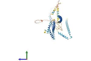 AlphaFold protein structure predicition of Human Recombinant CFAP100 Protein, UniprotID Q494V2