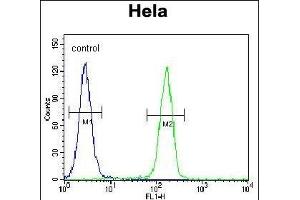 Flow Cytometry (FACS) image for anti-General Transcription Factor IIIC, Polypeptide 4 (GTF3C4) (AA 214-244), (N-Term) antibody (ABIN655899)