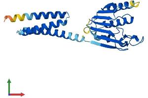 Protein Structure (PS) image for MIT, Microtubule Interacting and Transport, Domain Containing 1 (MITD1) (AA 1-249) protein (His tag) (ABIN7559876)