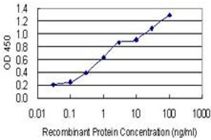 Detection limit for recombinant GST tagged GJD2 is 0. (GJD2 抗体  (AA 99-197))