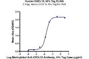 ELISA image for Chemokine (C-X-C Motif) Ligand 13 (CXCL13) (AA 23-109) protein (Fc Tag) (ABIN7274443)