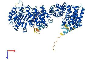 AlphaFold protein structure predicition of Human Recombinant ZYG11A Protein, UniprotID Q6WRX3