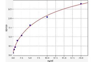 TLR7 ELISA 试剂盒