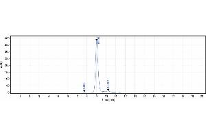The purity of Anti-FGFR3 / CD333 Reference Antibody (vofatamab) is 100 % , determined by SEC-HPLC. (Recombinant FGFR3 (Vofatamab Biosimilar) 抗体)