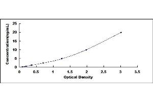 Typical standard curve (IRS1 ELISA 试剂盒)