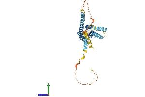 Protein Structure (PS) image for Gap Junction Protein, alpha 4, 37kDa (GJA4) (AA 1-333) protein (His tag) (ABIN7563043)
