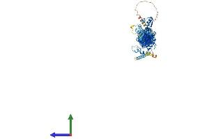 Protein Structure (PS) image for Exocyst Complex Component 6 (EXOC6) (AA 1-804) protein (His tag) (ABIN7553861)