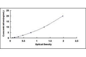 Typical standard curve (Angiomotin ELISA 试剂盒)